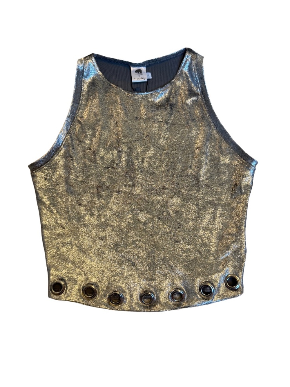 SAMPLE SALE Metallic Silver Cropped Tank